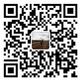 service qrcode